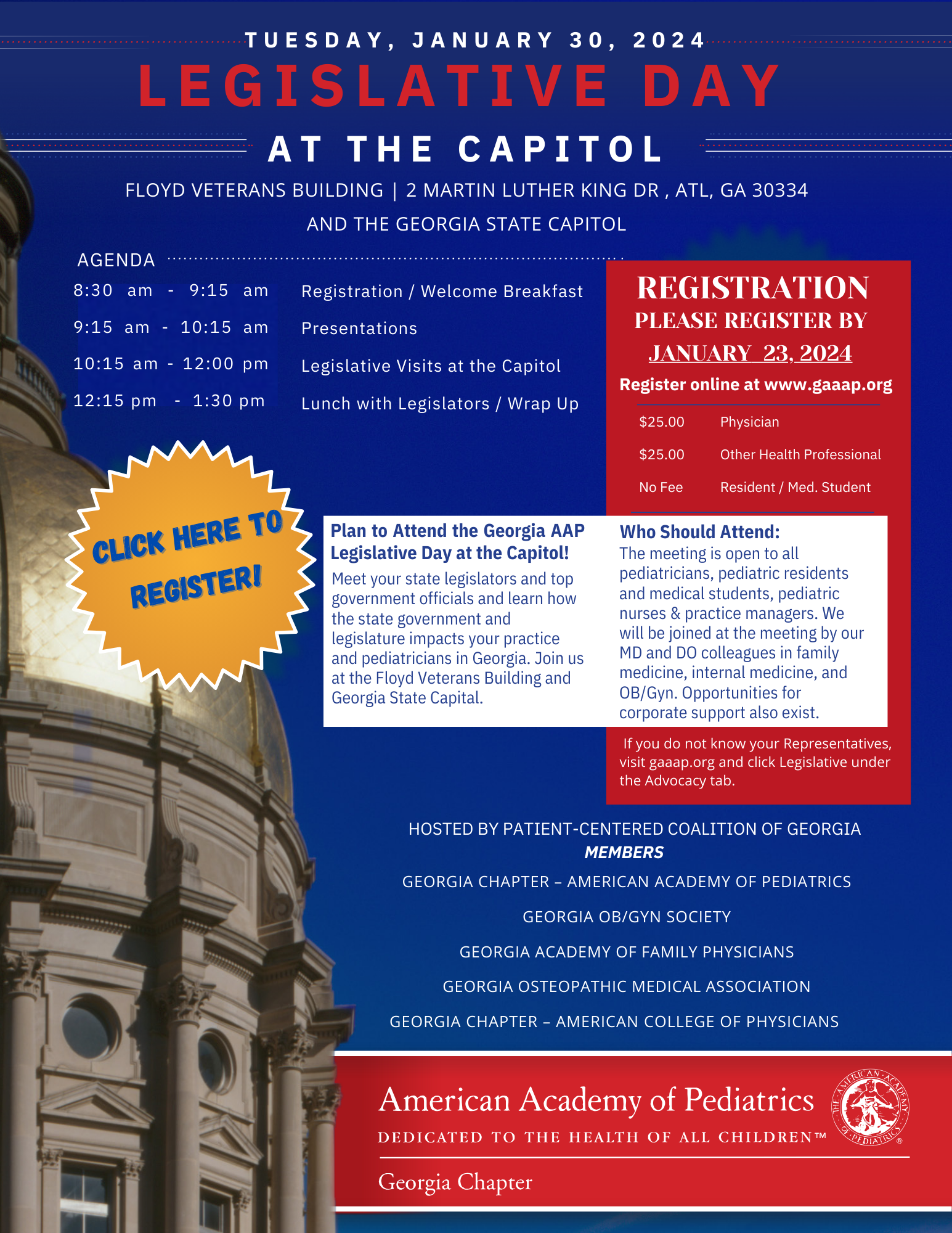 Legislative Chapter American Academy of Pediatrics